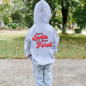 Sorry Santa, I've Been Feral Hoodie boys fashion clearance
